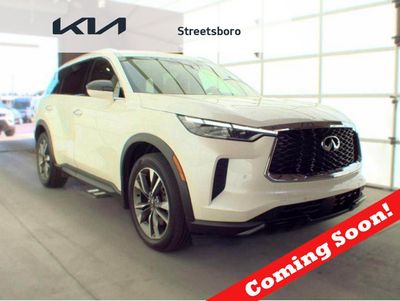 2023 INFINITI QX60 - 5N1DL1FSXPC374952