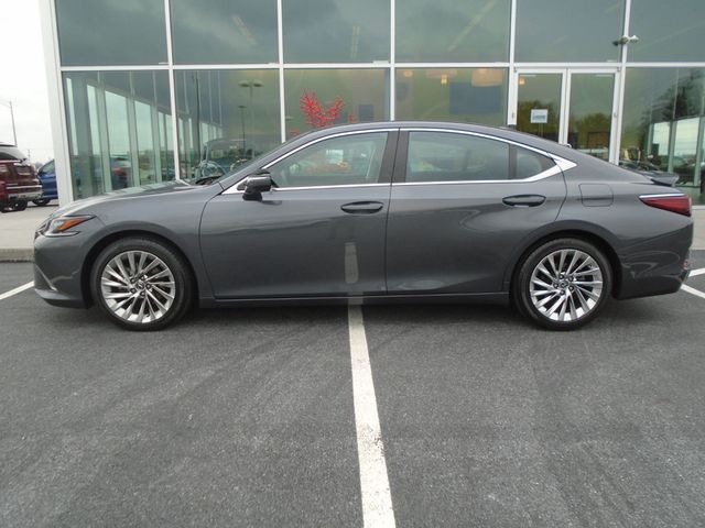 2023 Lexus ES ES 350 Ultra Luxury FWD - 22948646 - 6