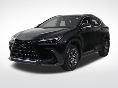 2023 Lexus NX - 2T2ADCAZ6PC005352