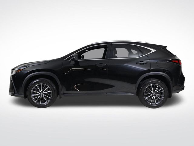 2023 Lexus NX 250 Base - 22982820 - 1