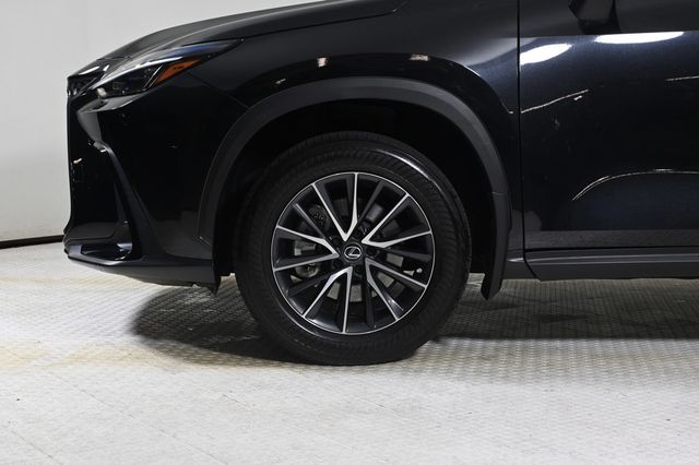 2023 Lexus NX 250 Base - 22982820 - 22