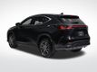 2023 Lexus NX 250 Base - 22982820 - 2