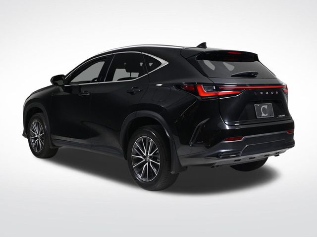 2023 Lexus NX 250 Base - 22982820 - 2
