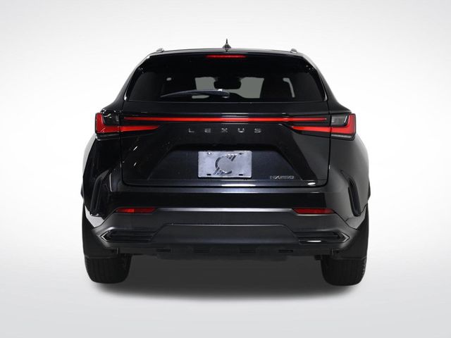 2023 Lexus NX 250 Base - 22982820 - 3