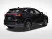 2023 Lexus NX 250 Base - 22982820 - 4