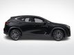 2023 Lexus NX 250 Base - 22982820 - 5