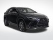 2023 Lexus NX 250 Base - 22982820 - 6