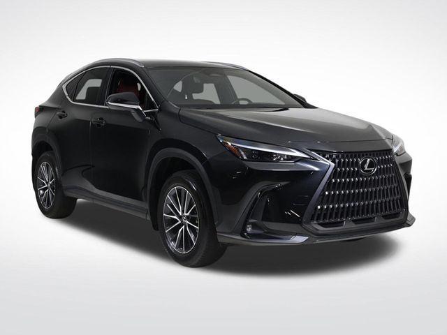 2023 Lexus NX 250 Base - 22982820 - 6