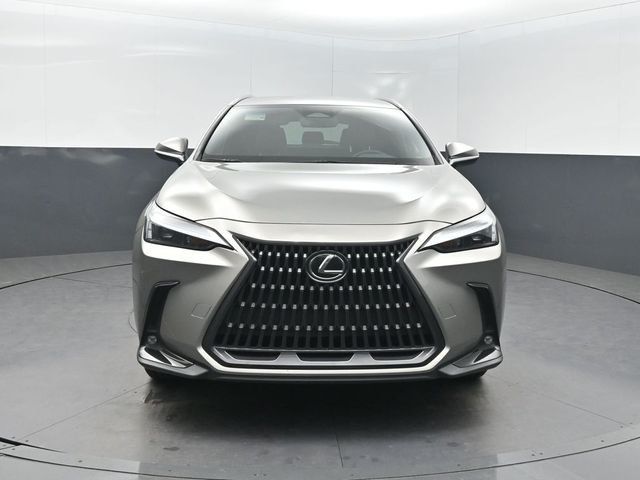 2023 Lexus NX NX 250 FWD - 22972125 - 37