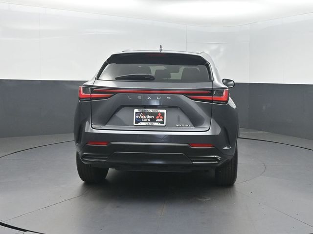 2023 Lexus NX NX 250 FWD - 23071753 - 29