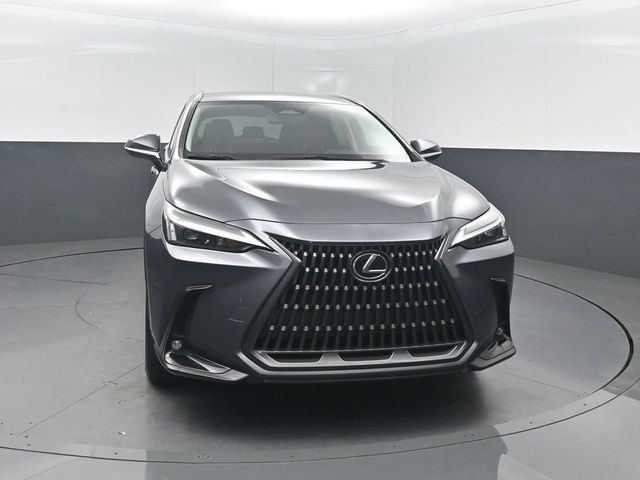 2023 Lexus NX NX 250 FWD - 23071753 - 33