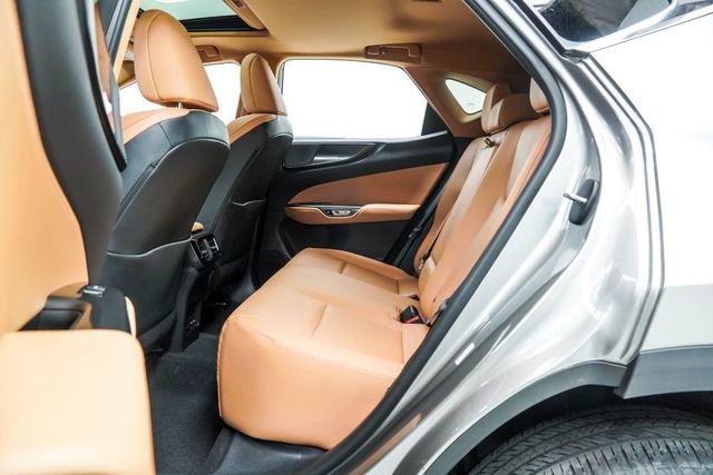 2023 Lexus NX NX 350 AWD - 23044077 - 17