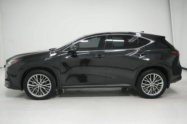 2023 Lexus NX NX 350h Premium AWD - 22965511 - 6