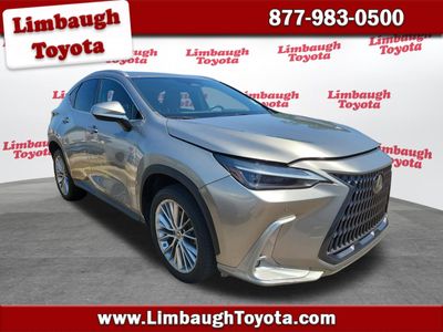 2023 Lexus NX