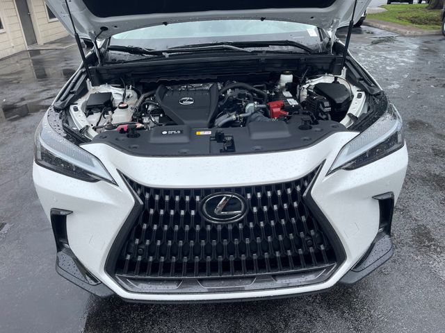 2023 LEXUS NX NX 350 PREMIUM - 23063271 - 20
