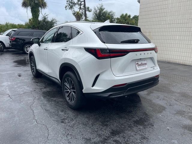 2023 LEXUS NX NX 350 PREMIUM - 23063271 - 2