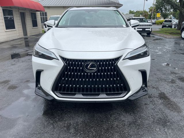 2023 LEXUS NX NX 350 PREMIUM - 23063271 - 8