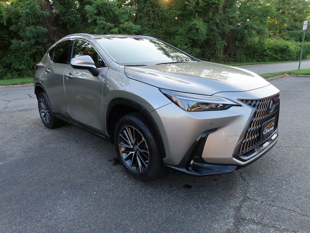 2023 Lexus NX NX 350 Premium AWD - 23053043 - 19