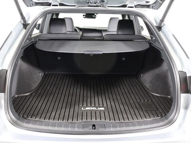 2023 Lexus RX RX 350 Premium AWD - 23037558 - 20
