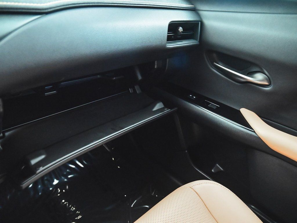 2023 Lexus UX 250h Premium photo 14
