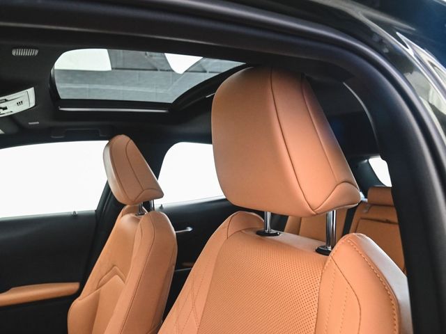 View 30