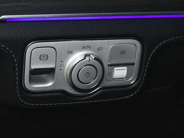2023 Mercedes-Benz GLS GLS 580 - 23053899 - 20