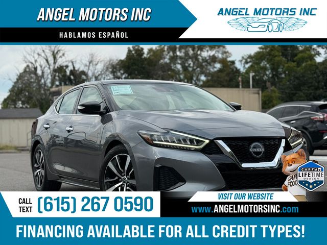 2023 Nissan Maxima SV CVT - 22904345 - 0