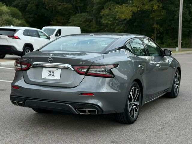 2023 Nissan Maxima SV CVT - 22904345 - 2
