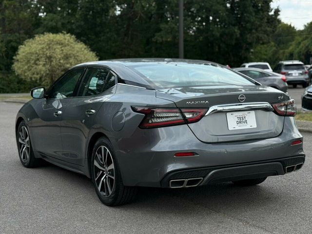 2023 Nissan Maxima SV CVT - 22904345 - 4