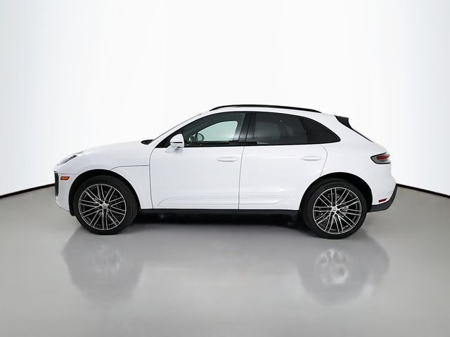 2023 Porsche Macan   - 23038916 - 1