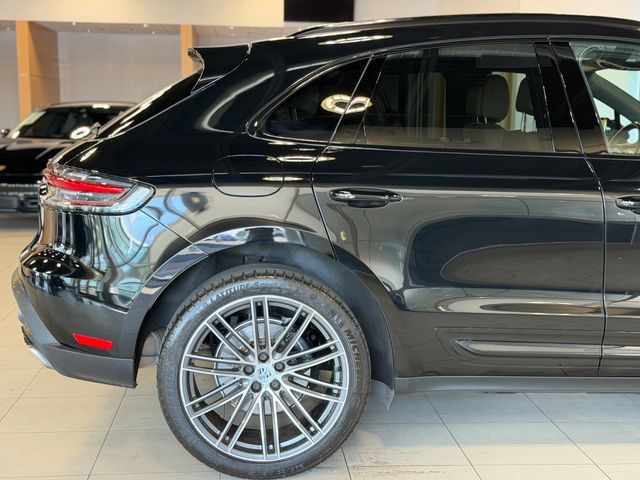 2023 Porsche Macan Base - 23072675 - 16