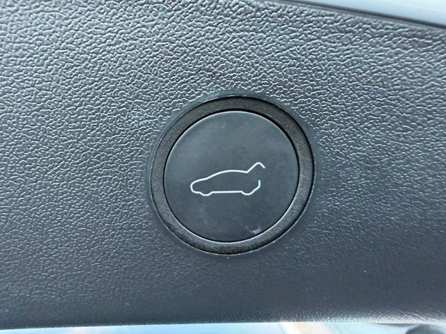 2023 Tesla Model 3 **MODEL 3 RWD**WHITE INTERIOR** - 23027752 - 23