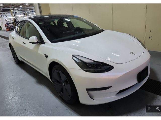 2023 Tesla Model 3 RWD - 22970209 - 2