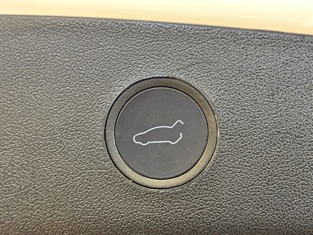 2023 Tesla Model 3 RWD - 22951200 - 34