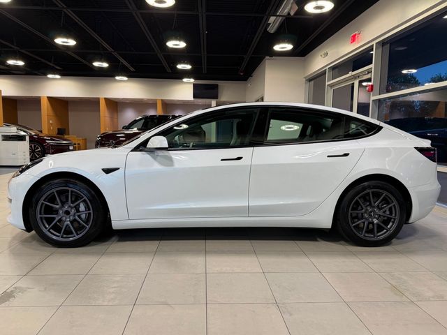 2023 Tesla Model 3 RWD - 23056228 - 6