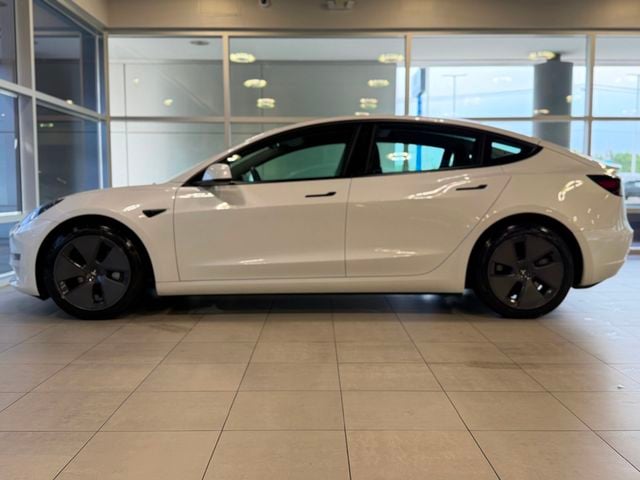 2023 Tesla Model 3 RWD - 23063281 - 8