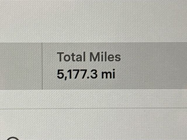 2023 Tesla Model 3 RWD - 23060951 - 10