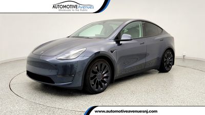 2023 Tesla Model Y