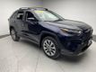 2023 Toyota RAV4 Limited AWD - 22981521 - 2