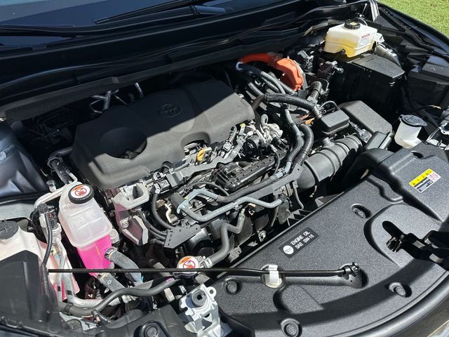 2023 Toyota Sienna Limited AWD 7-Passenger - 22986559 - 20