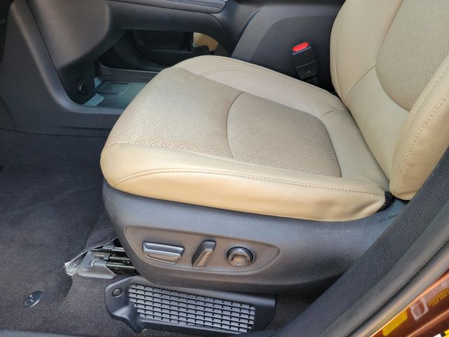 2023 Toyota Sienna Limited FWD 7-Passenger - 22995394 - 5