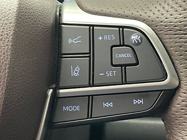 2023 Toyota Sienna Platinum AWD 7-Passenger - 22963320 - 32