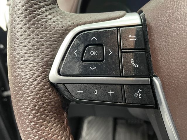 2023 Toyota Sienna Platinum AWD 7-Passenger - 22995945 - 21