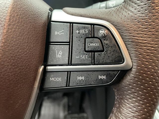 2023 Toyota Sienna Platinum AWD 7-Passenger - 22995945 - 22