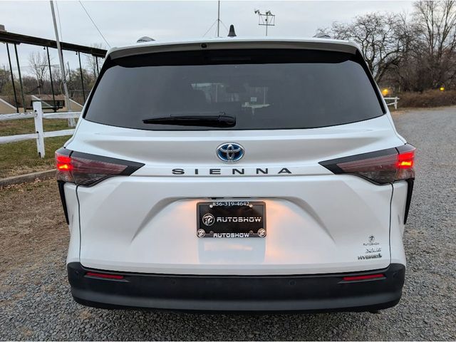 2023 Toyota Sienna XLE - 22956364 - 5