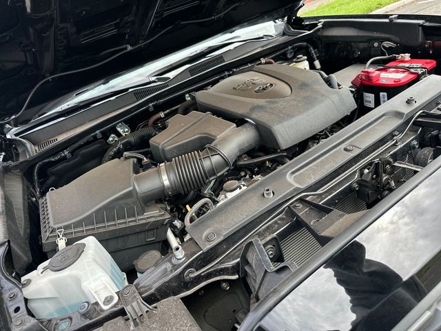 2023 Toyota Tacoma 2WD  - 22999079 - 19