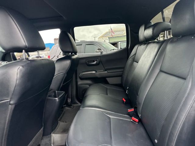 2023 Toyota Tacoma 2WD TRD Sport Double Cab 5' Bed V6 Automatic - 22926972 - 13