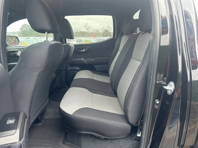 2023 Toyota Tacoma 4WD SR5 Double Cab 5' Bed V6 Automatic - 22972239 - 6