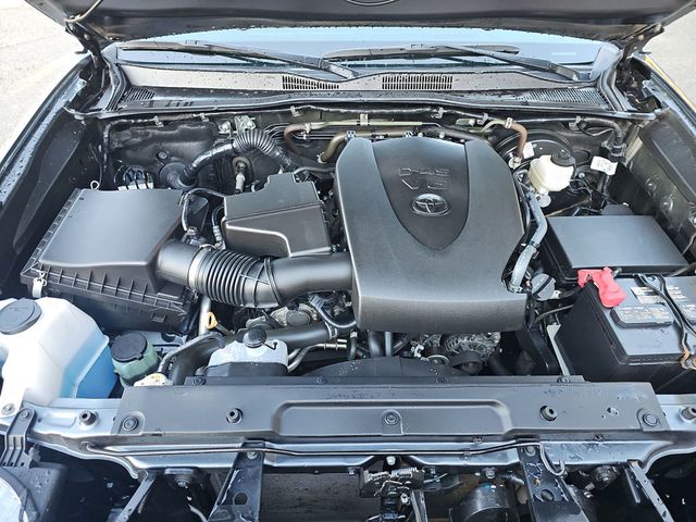 2023 Toyota Tacoma 4WD SR Double Cab 5' Bed V6 Automatic - 22970069 - 20