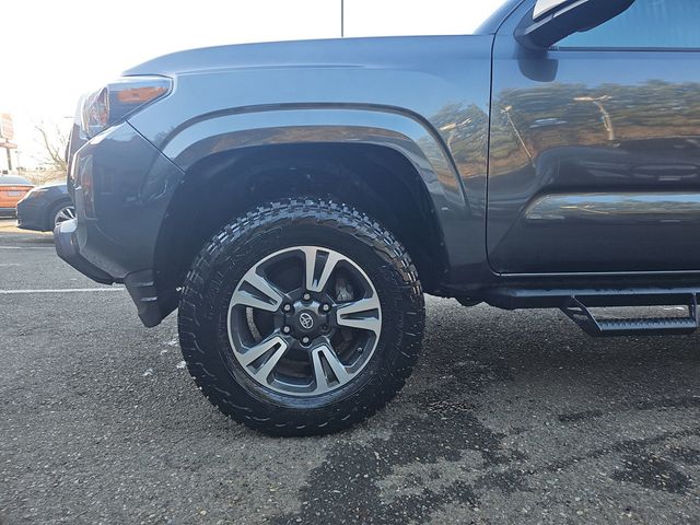 2023 Toyota Tacoma 4WD SR Double Cab 5' Bed V6 Automatic - 22970069 - 24